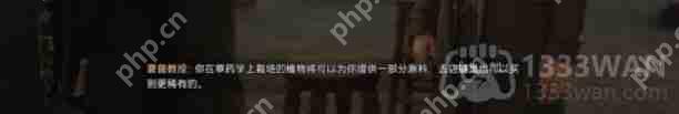 霍格沃茨之遗魔药学课程怎么过-主线魔药学课程通关攻略  第4张