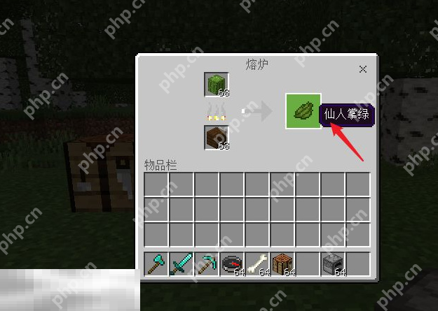 我的世界黄绿色染料怎么制作 2025最新实用道具合成指南  第4张