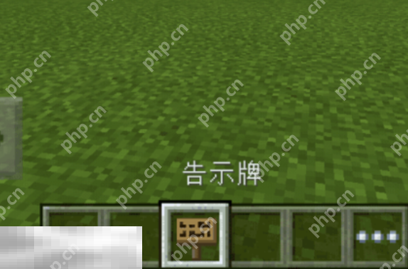我的世界特殊符号怎么输入 字体颜色代码分享  第3张