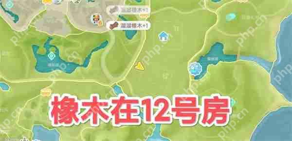 心动小镇5.9溜溜橡木与无瑕萤石位置  第1张