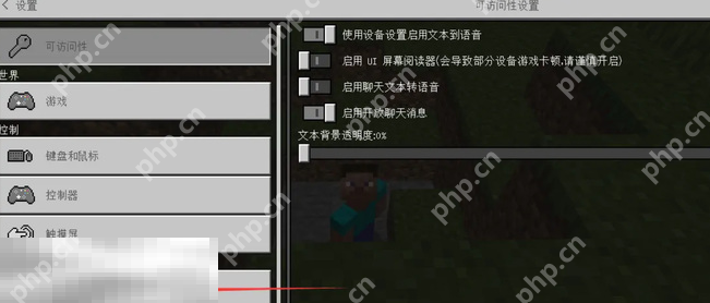 我的世界第一视角怎么切换 第一人称模式设置方法介绍  第3张