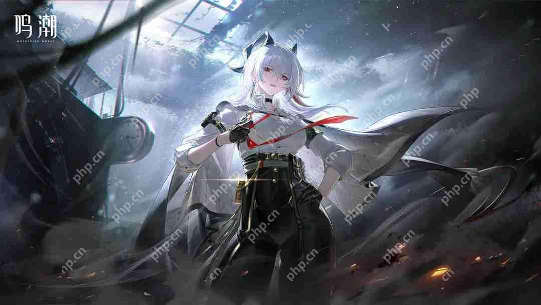 鸣潮v2.3最强角色赞妮一图流攻略  第1张