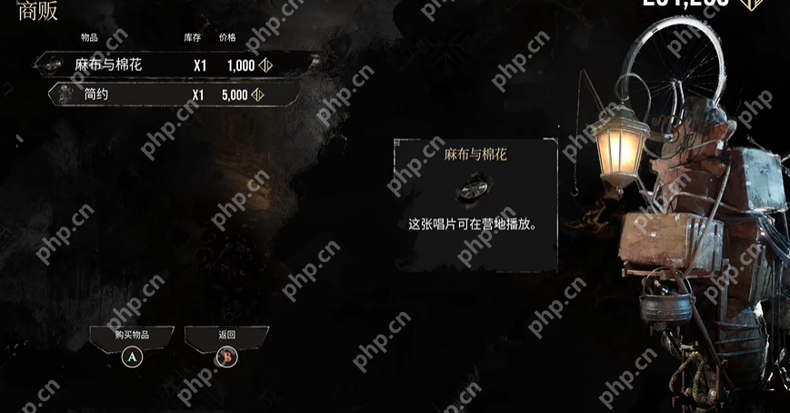 光与影33号远征队唱片全收集 麻布与棉花  第3张