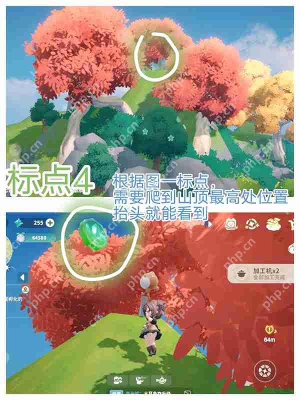 米姆米姆哈家园岛苍翠币获取攻略  第5张