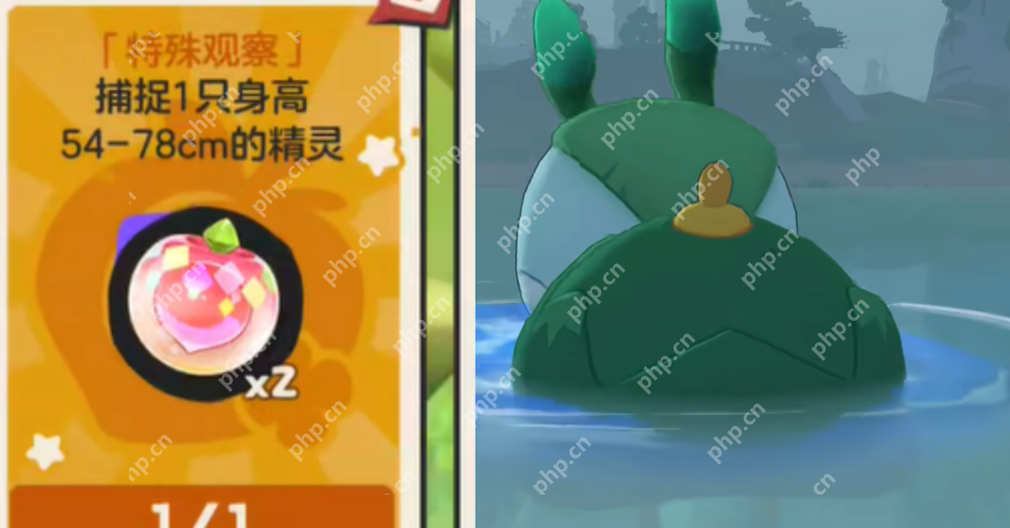 洛克王国可可果挂件获取攻略：三种途径轻松收集  第3张