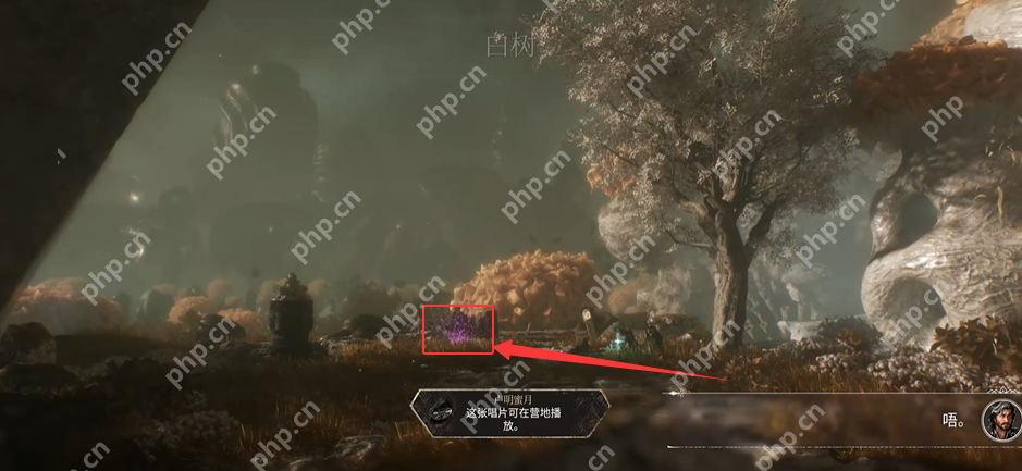 光与影33号远征队唱片全收集 卢明蜜月  第2张