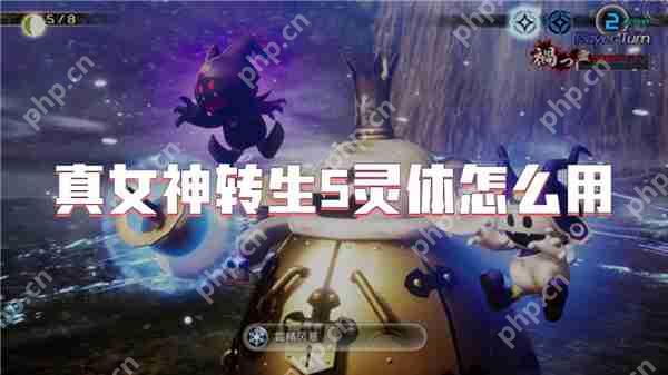 真女神转生5灵体怎么用  第1张