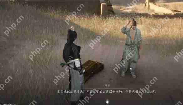 燕云十六声红缨任务全流程详解：轻松获取染血红缨攻略  第6张
