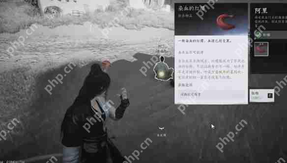 燕云十六声红缨任务全流程详解：轻松获取染血红缨攻略  第5张