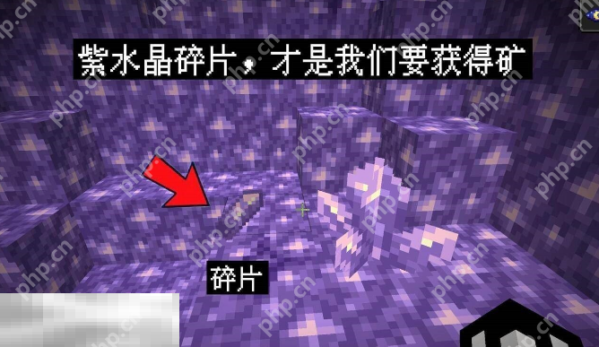 我的世界紫水晶矿石怎么获得 紫水晶矿石采集攻略  第2张