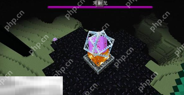 我的世界末地水晶有什么用 末地水晶全部功能一览  第4张