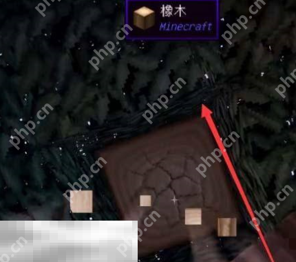 我的世界鲁伯特之泪怎么获得 鲁伯特之泪制作教程  第3张