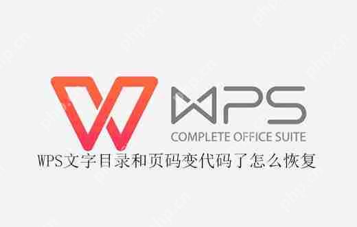 WPS文字目录和页码变代码了怎么恢复  第1张