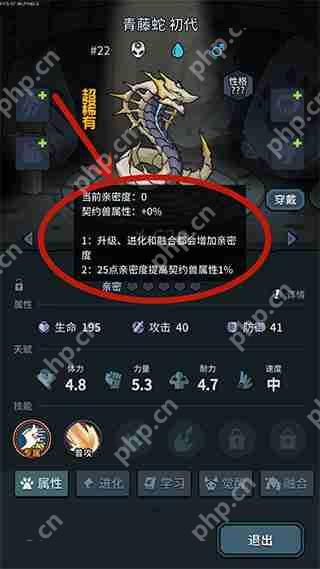 提灯与地下城宠物亲密度提升攻略  第2张