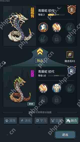提灯与地下城宠物亲密度提升攻略  第4张