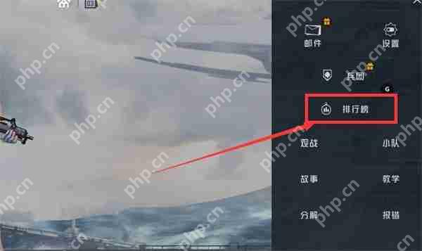 和平精英全服排名位置说明  第2张