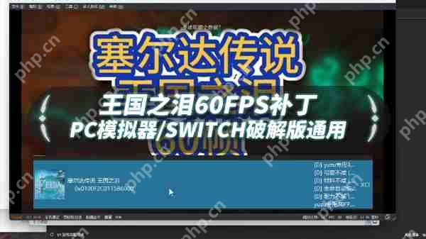 塞尔达传说王国之泪60帧补丁怎么用  第1张