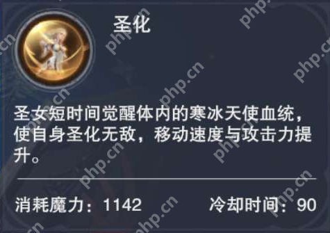 新神魔大陆圣女怎么样  第5张