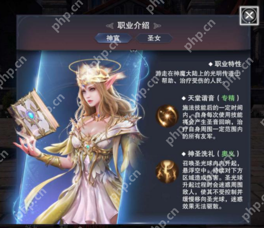 新神魔大陆牧师怎么样  第3张