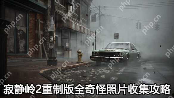 寂静岭2重制版奇怪照片收集攻略  第1张