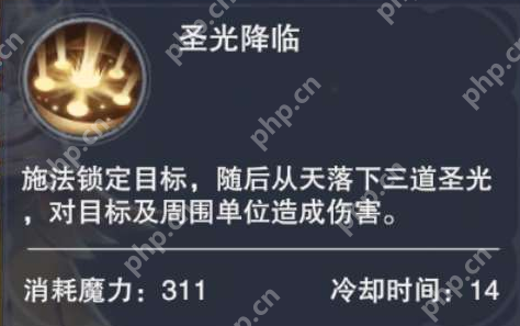 新神魔大陆神官技能介绍  第2张