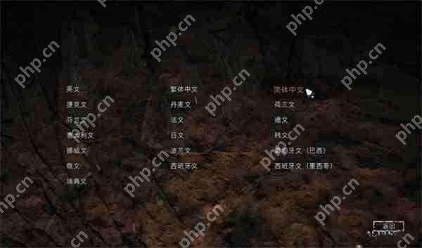孤岛惊魂原始杀戮中文设置教程  第6张