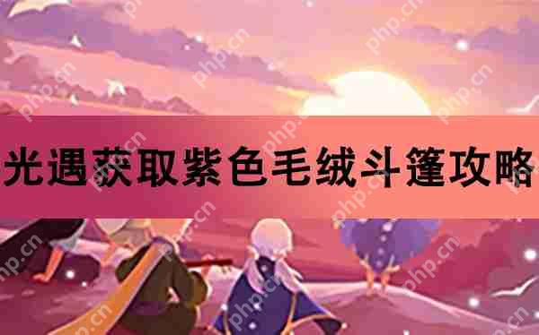 光遇获取紫色毛绒斗篷攻略  第1张
