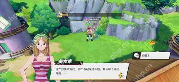 航海王热血航线风车村探索任务完成攻略  第12张