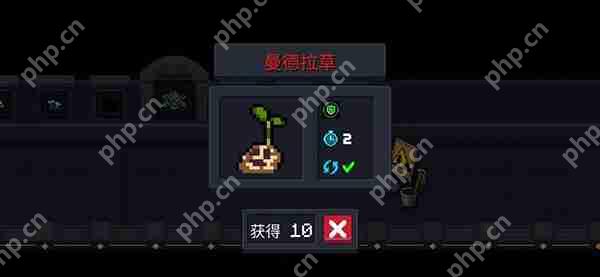 元气骑士天赋类种子大全  第3张