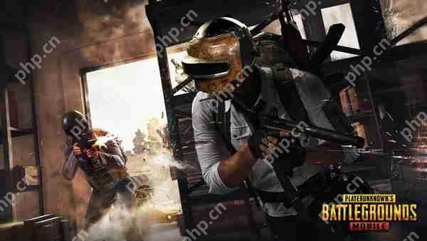 pubg mobile国际服充值攻略  第1张