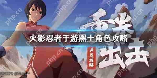 火影忍者黑土博人传玩法攻略  第1张