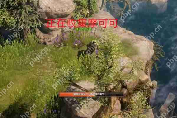 命运方舟鲸鱼岛摩可可种子在哪-命运方舟鲸鱼岛摩可可种子位置一览  第5张