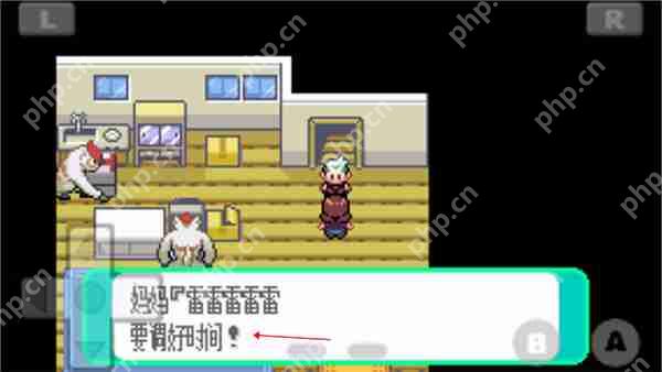 口袋妖怪绿宝石493版设定时间方法攻略  第2张