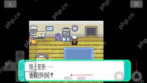 口袋妖怪绿宝石493版设定时间方法攻略  第5张