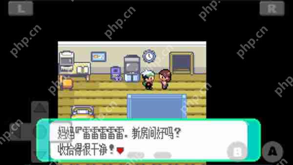 口袋妖怪绿宝石493版设定时间方法攻略  第9张