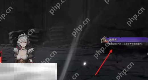 无限机兵武器赫罪者在哪 无限机兵全武器收集  第4张