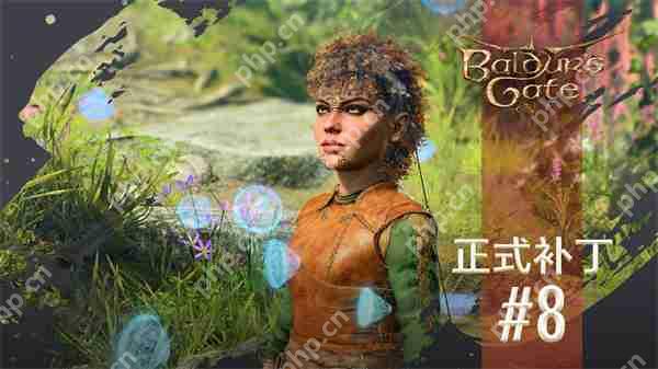 《博德之门3》推出最后更新补丁 Steam在线人数翻倍  第1张