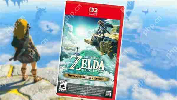 官方确认：Switch 2版实体游戏全部内容将放在一张卡上  第2张