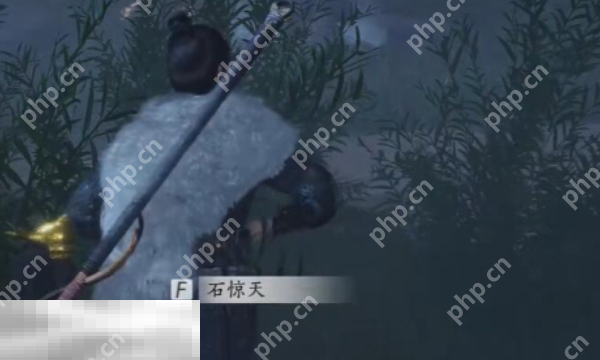 燕云十六声石惊天怎么结交 石惊天对话结交攻略  第1张