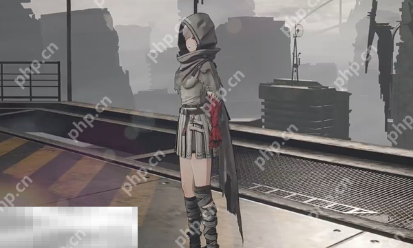 无限机兵破布兜帽获取方法 无限机兵破布兜帽获取路线分享  第1张
