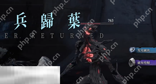 无限机兵破布兜帽获取方法 无限机兵破布兜帽获取路线分享  第7张
