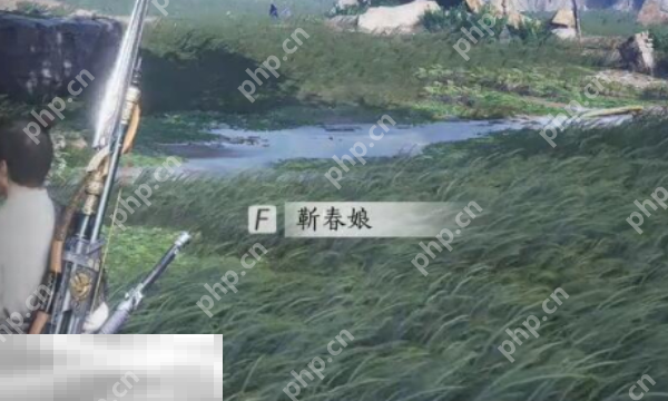燕云十六声靳春娘怎么结交 靳春娘对话结交攻略  第1张