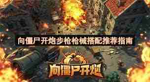 向僵尸开炮步枪枪械如何搭配-向僵尸开炮步枪枪械搭配指南推荐  第1张
