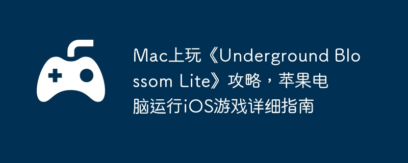 Mac上玩《Underground Blossom Lite》攻略，苹果电脑运行iOS游戏详细指南  第1张