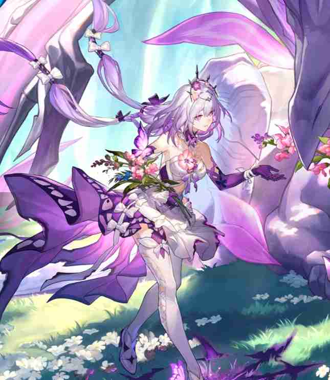 崩坏星穹铁道遐蝶配队方案  第1张
