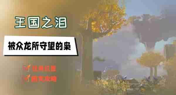 王国之泪被众龙所守望的枭任务怎么做-被众龙所守望的枭任务图文攻略  第1张