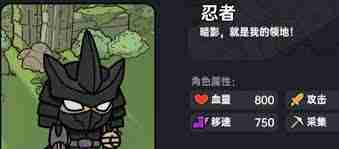 英勇之地忍者怎么样-英勇之地忍者详情介绍  第1张