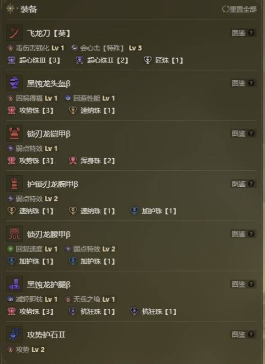 怪物猎人荒野攻势满会心太刀配装方案  第1张