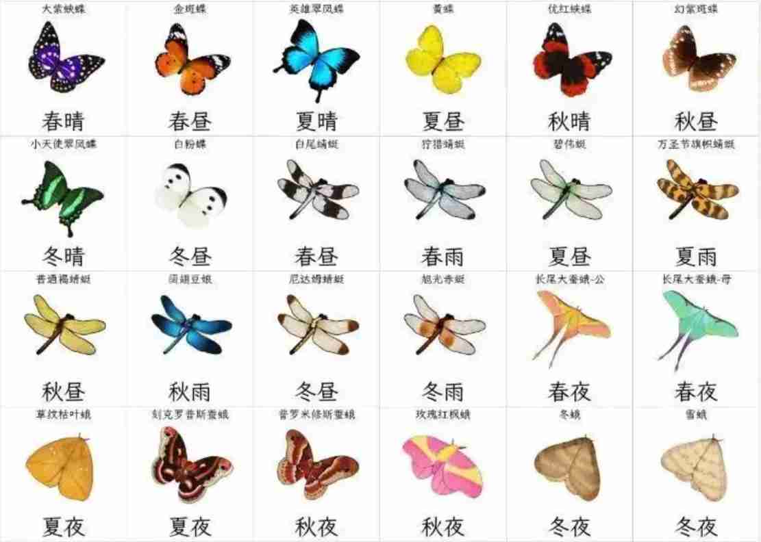开放空间收集物及获取时间一览  第1张