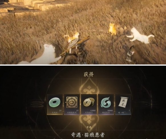 燕云十六声猫瘾患者奇遇怎么做 猫瘾患者奇遇攻略  第5张